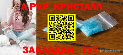 Альфа ПВП Дубна