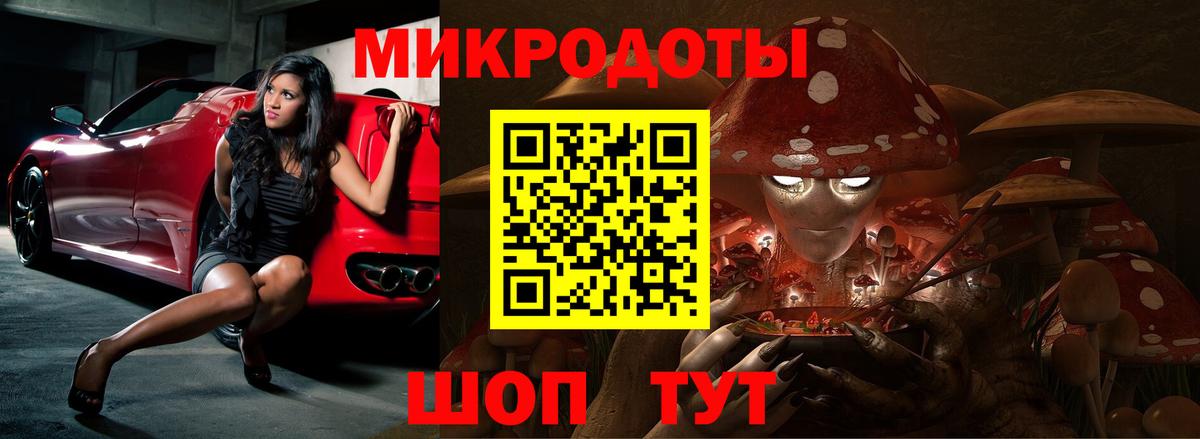Галлюциногенные грибы мухоморы Междуреченск