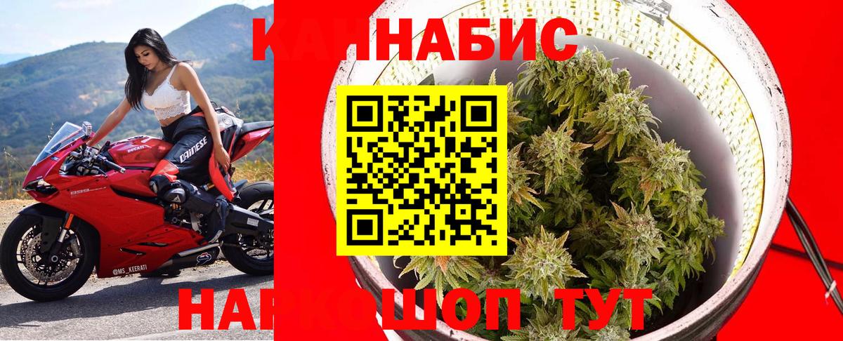 МАРИХУАНА планчик  Вход с VPN  Междуреченск  Канабис тримм  Канабис OG Kush 